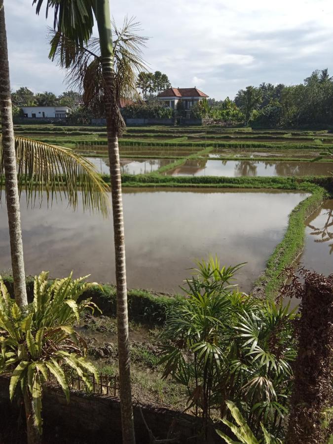 Bella Villas Ubud Exterior foto